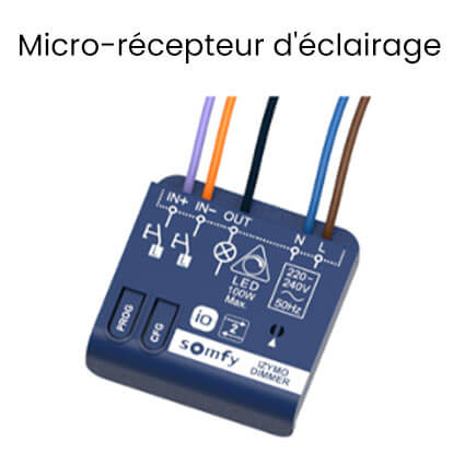 micro-recepteur